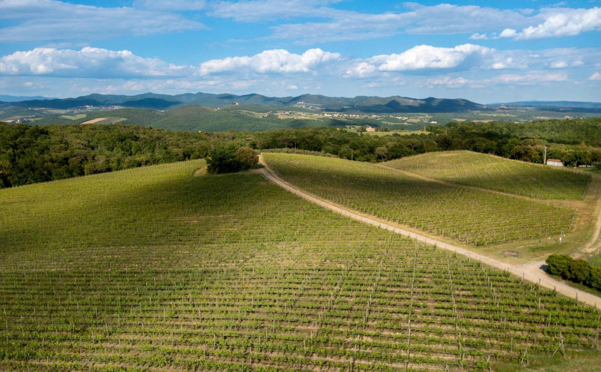 Borgo Scopeto Wine & Country Relais Hotell Vagliagli Eksteriør bilde